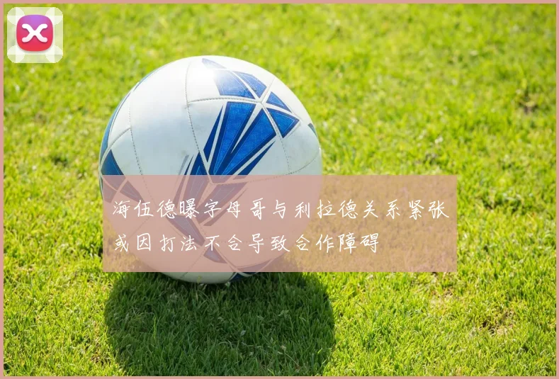 海伍德曝字母哥与利拉德关系紧张或因打法不合导致合作障碍